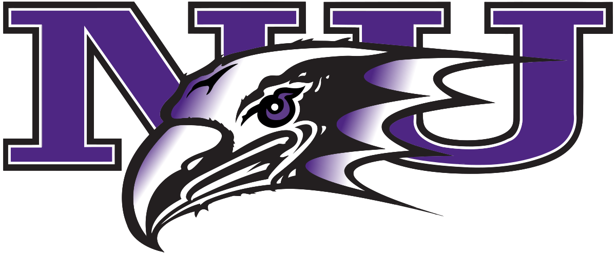 Niagara University